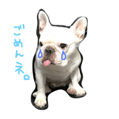 asuka_20181114235614