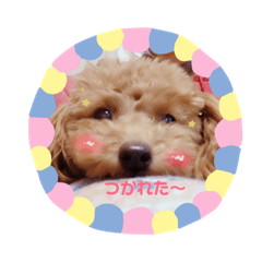a_n_g_i_e