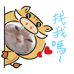 四隻屁貓