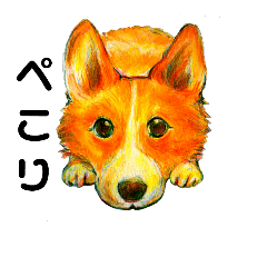 with corgi