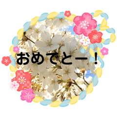 Emily_20181115