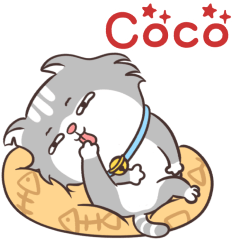 MeowMeow Name Coco