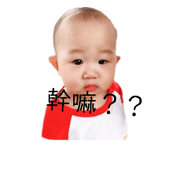 可♥的Bo 妞