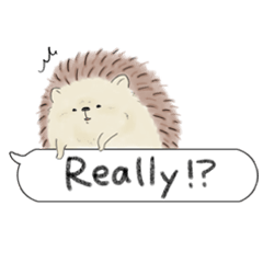 Hedgehog "Ohagi"massege English