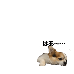 jasmine_20181116122210
