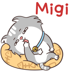 MeowMeow Name Migi