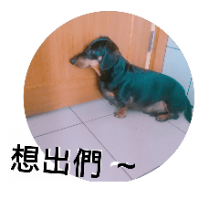 PIG出沒！