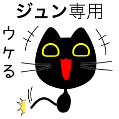 【ジュン】専用の黒猫です