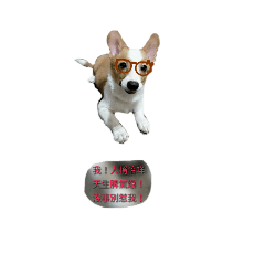 波咩生活