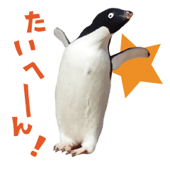 grim penguin