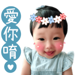 肥肥卉（生活語）