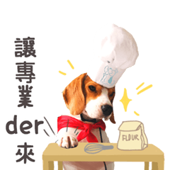 Beagle Chef - I am Chef