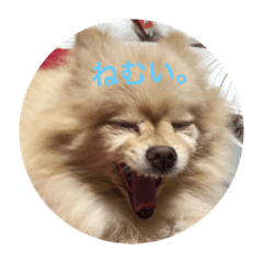hana_20181117041243