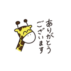 smile  animal