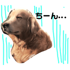 sachi_20181114225513