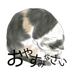 猫のぽよ日常スタンプ