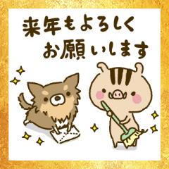 いのたんのお正月