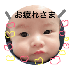 piyo_20181117231040