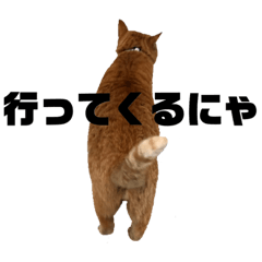 宇都宮動物園ねこ園長 サンタ2 Line スタンプ Line Store