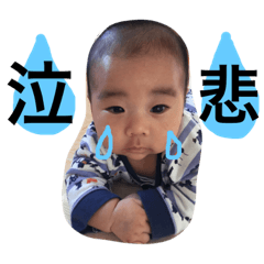 MINAMI373