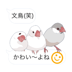 癒し生活 [吹き出しに集う文鳥]