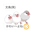 文鳥のスタンプ2 Line スタンプ Line Store 文鳥のスタンプ2 Line スタンプ Line Store