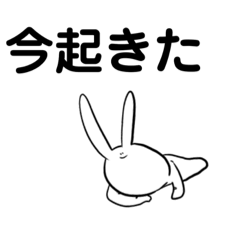 Diligent Rabbit7
