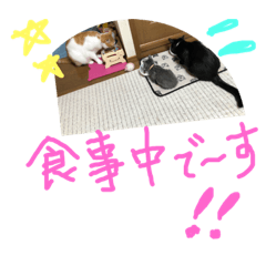 MUREOKO