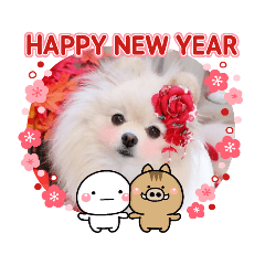 Pomeranian's Hime New Year's Stamp 2019