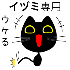【イヅミ】専用の黒猫です