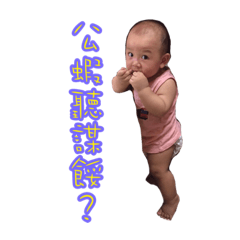 波仔 日常