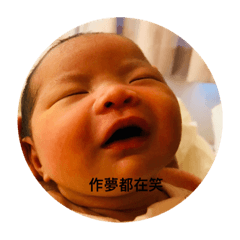 Zoe_20181115054847