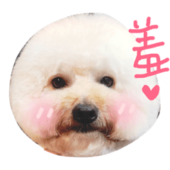 黑狗瑋威ㄉ貼圖