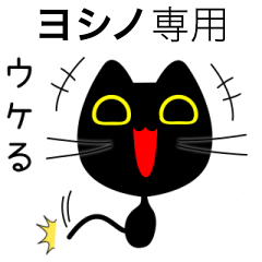 【ヨシノ】専用の黒猫です