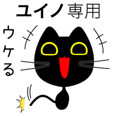 【ユイノ】専用の黒猫です