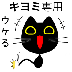 【キヨミ】専用の黒猫です