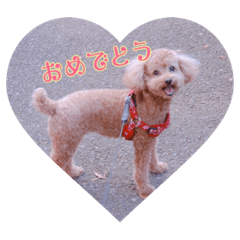 yukichi_20181116223351