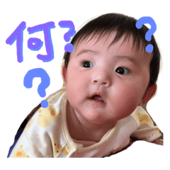 piyochan shio20181117