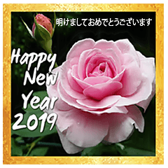 Happy New Year Greeting