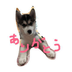 Ru_20181117114200