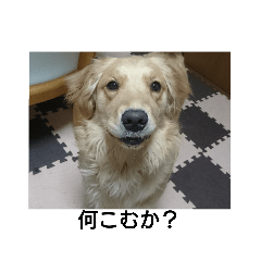 yuuki_20181118125340