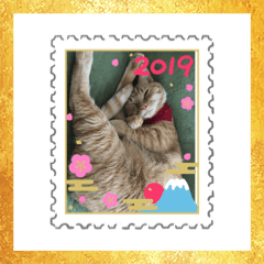 HAPPY NEW YEAR CAT2