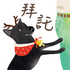 聖誕特輯 台灣米克斯黑犬
