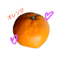 orange_20181119134428