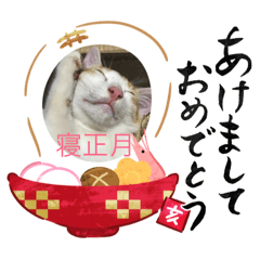 yama_20181119194724