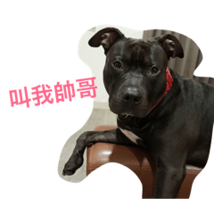 Happy!我是黑皮