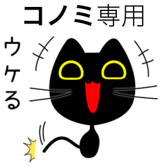 【コノミ】専用の黒猫です