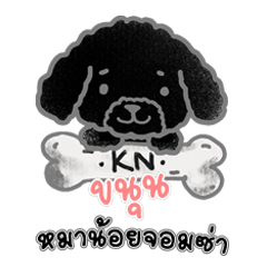 Khanoon Smile Dog