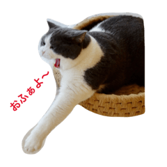 Marina_20181120213300