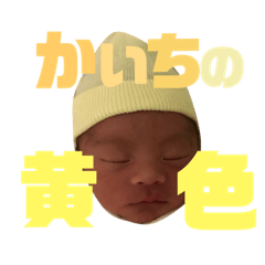 yukari_20181116221140